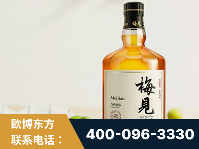 金昌-梅见青梅酒